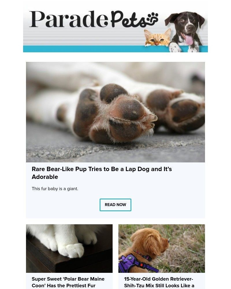 Screenshot of email sent to a Parade Newsletter subscriber