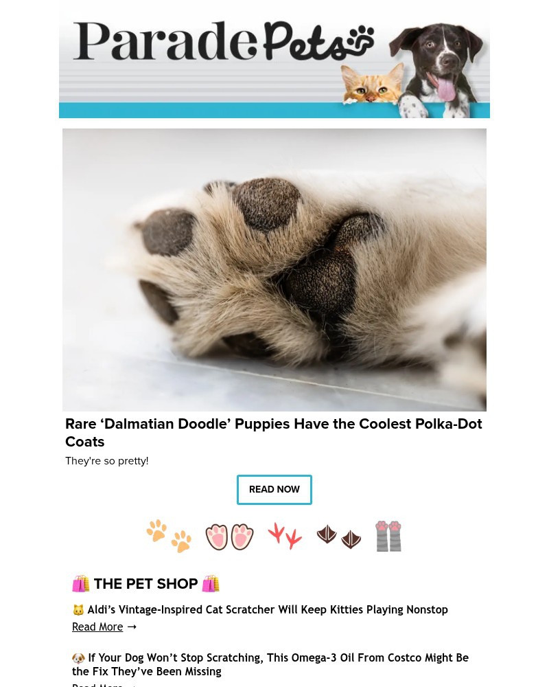 Screenshot of email sent to a Parade Newsletter subscriber