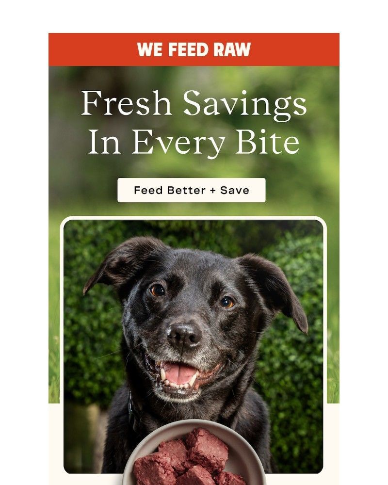 Screenshot of email with subject /media/emails/raw-is-more-affordable-than-your-pups-67fd1d-cropped-c5e65f61.jpg