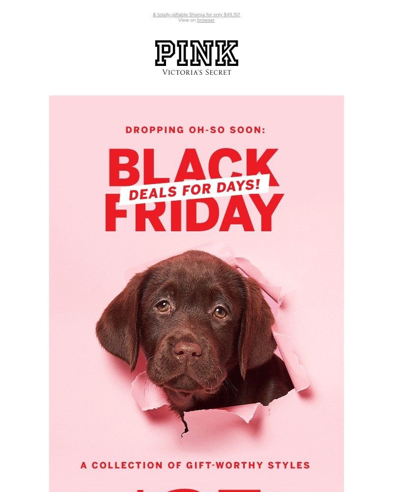 Screenshot of email with subject /media/emails/re-our-black-friday-deals-913319-cropped-78a3d0c5.jpg