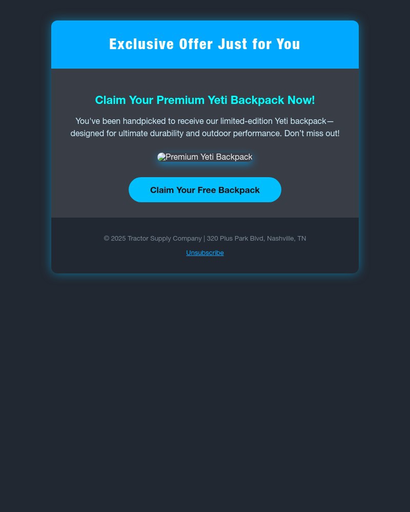 Screenshot of email with subject /media/emails/re-your-yeti-outdoor-bundle-is-delevred-1dc0e0-cropped-6cc9086a.jpg