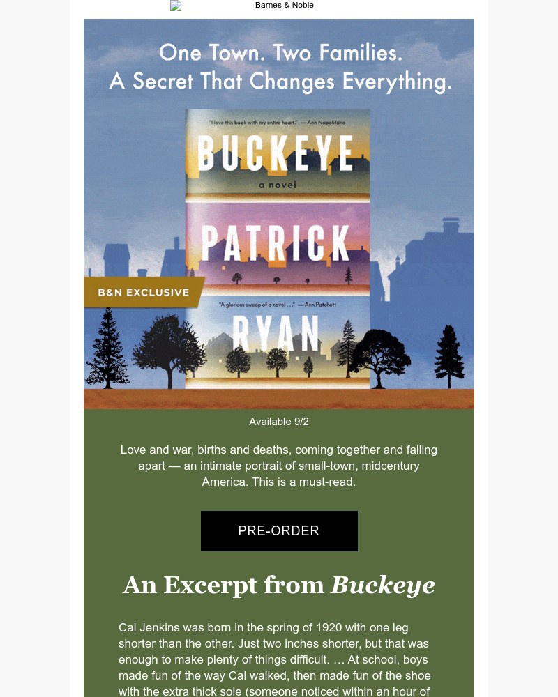 Screenshot of email with subject /media/emails/read-the-next-great-american-novel-1353a3-cropped-149c7f5e.jpg