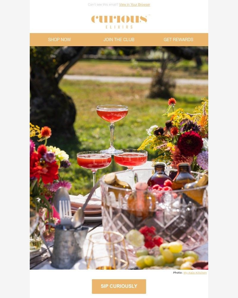 Screenshot of email with subject /media/emails/ready-for-a-spring-treat-7e21b3-cropped-76deb950.jpg