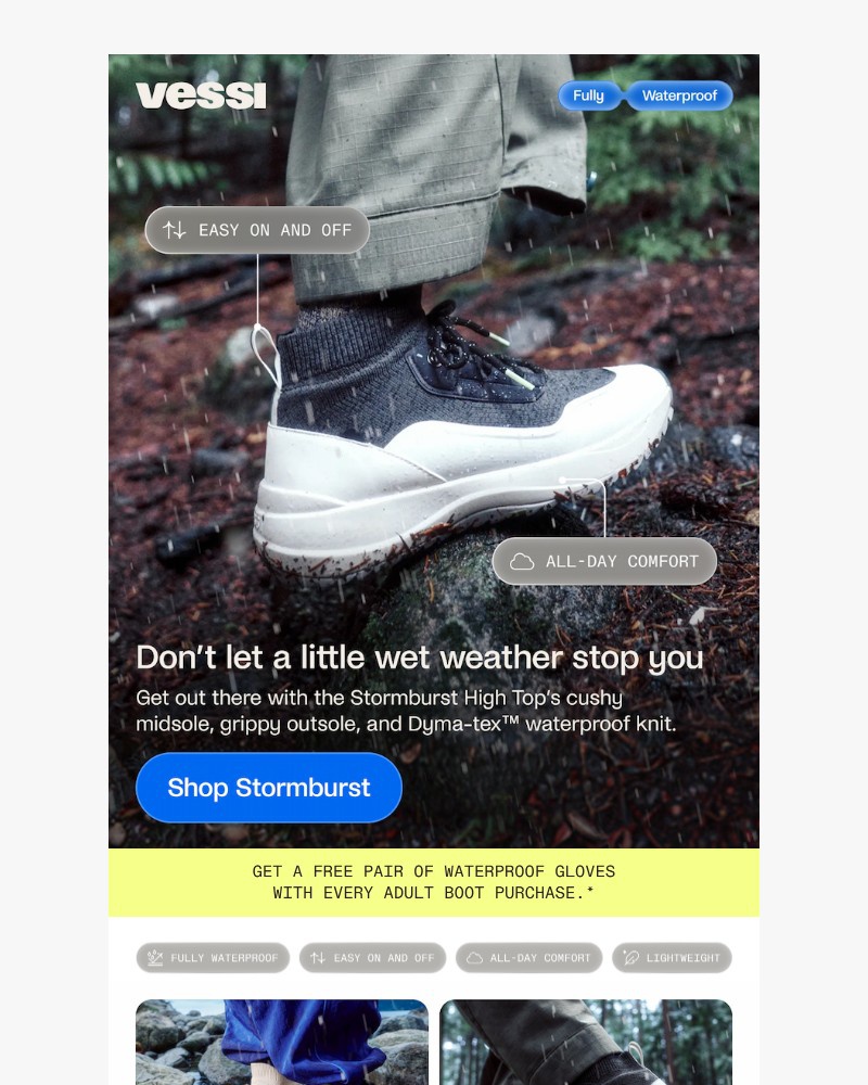 Screenshot of email sent to a Vessi Seller