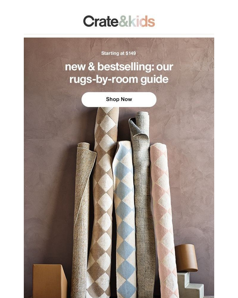 Screenshot of email with subject /media/emails/ready-for-anything-our-durable-rugs-handle-it-all-4bc1a6-cropped-c8f9987d.jpg