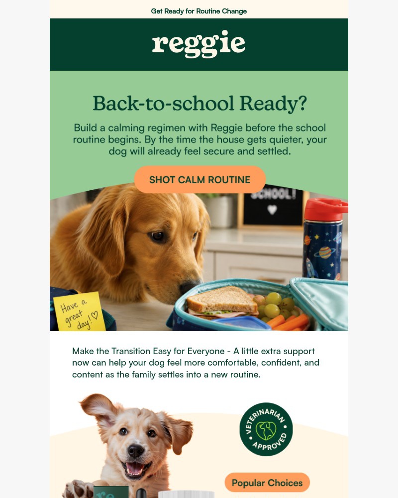 Screenshot of email sent to a reggie Newsletter subscriber