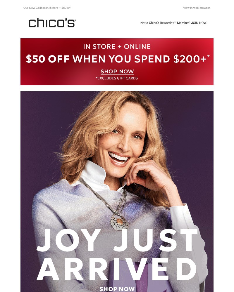 Screenshot of email with subject /media/emails/ready-set-joy-342d68-cropped-978660ae.jpg