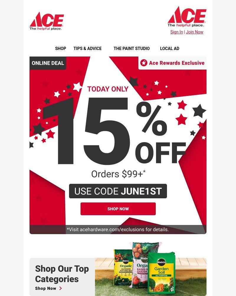 Screenshot of email sent to a Ace Hardware Newsletter subscriber