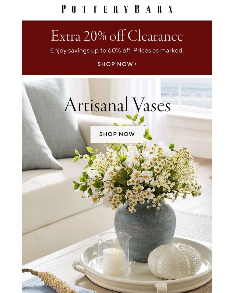 Screenshot of email with subject /media/emails/ready-set-save-extra-20-off-clearance-decorative-vases-with-effortless-charm-43f9_v8FWlaG.jpg