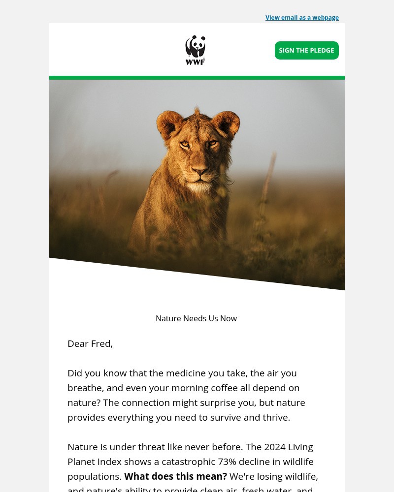 Screenshot of email with subject /media/emails/ready-to-become-a-protector-of-nature-55b205-cropped-88b53750.jpg