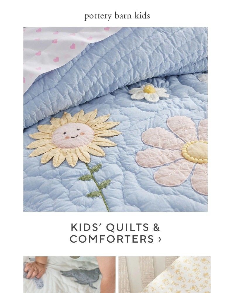 Screenshot of email with subject /media/emails/ready-to-save-big-on-bedding-8b630c-cropped-07bdafd9.jpg