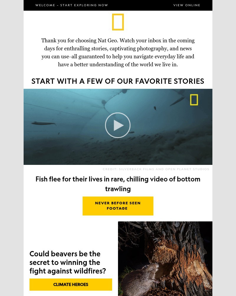 Screenshot of email sent to a National Geographic Newsletter subscriber