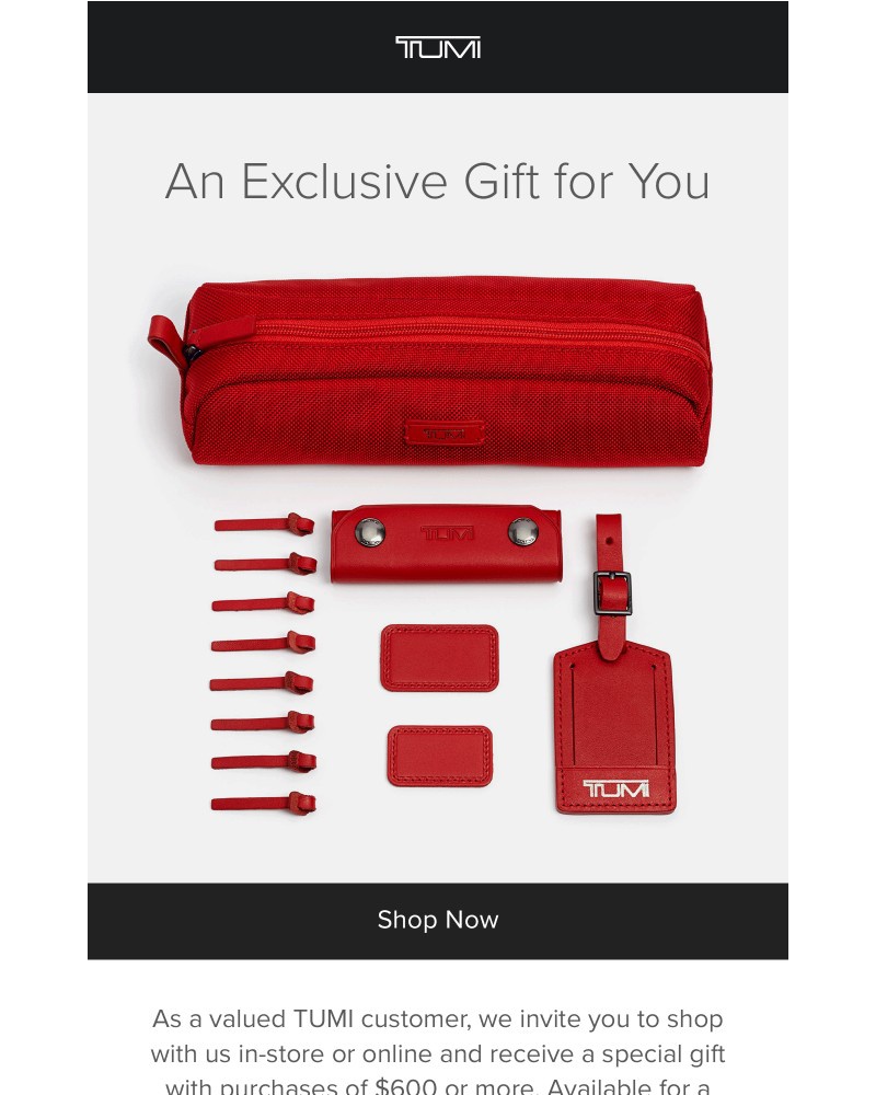 Screenshot of email with subject /media/emails/receive-a-special-gift-with-your-purchase-in-store-and-online-4192ee-cropped-5166ec1c.jpg