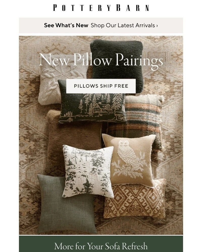 Screenshot of email with subject /media/emails/refresh-your-sofa-with-new-pillows-48eeff-cropped-49655f2c.jpg