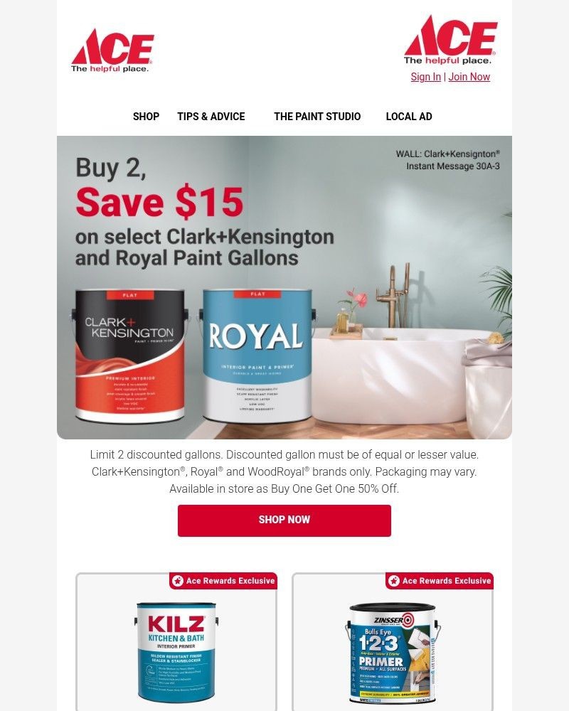 Screenshot of email sent to a Ace Hardware Newsletter subscriber