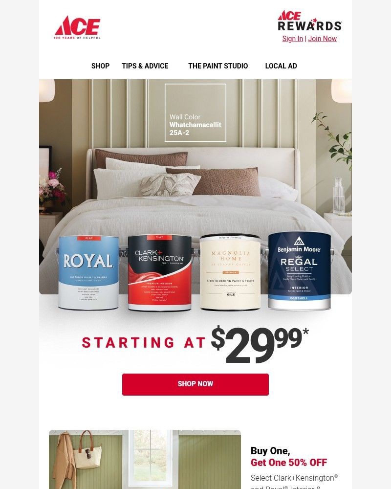 Screenshot of email sent to a Ace Hardware Newsletter subscriber