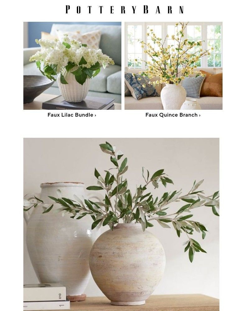 Screenshot of email with subject /media/emails/refresh-your-space-with-blooms-botanicals-dcc1f8-cropped-55ac4d94.jpg