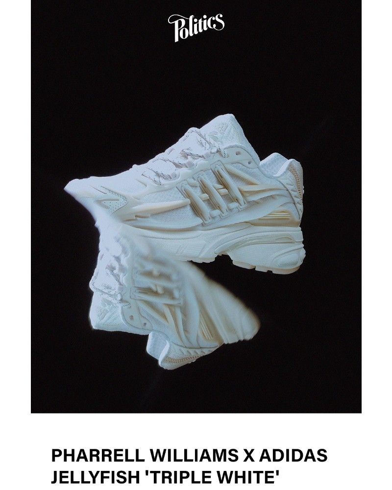 Screenshot of email sent to a Sneaker Politics Newsletter subscriber