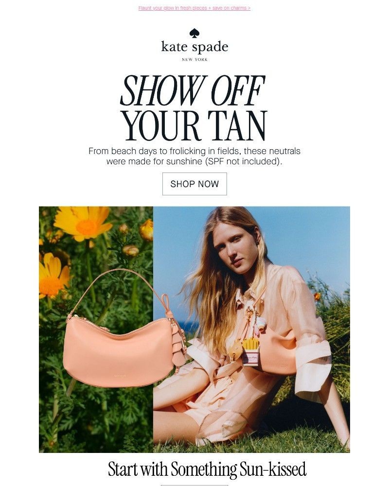 Screenshot of email with subject /media/emails/reminder-20-off-a-bag-charm-for-a-limited-time-96c427-cropped-4cccc119.jpg
