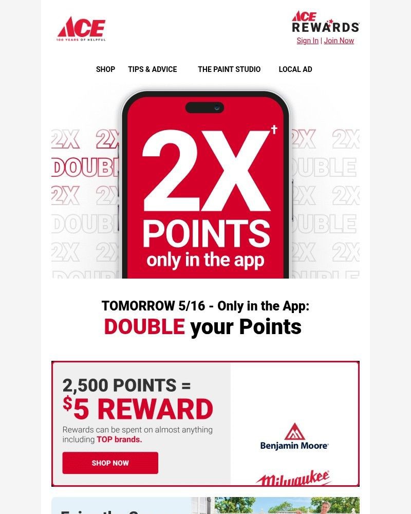 Screenshot of email sent to a Ace Hardware Newsletter subscriber