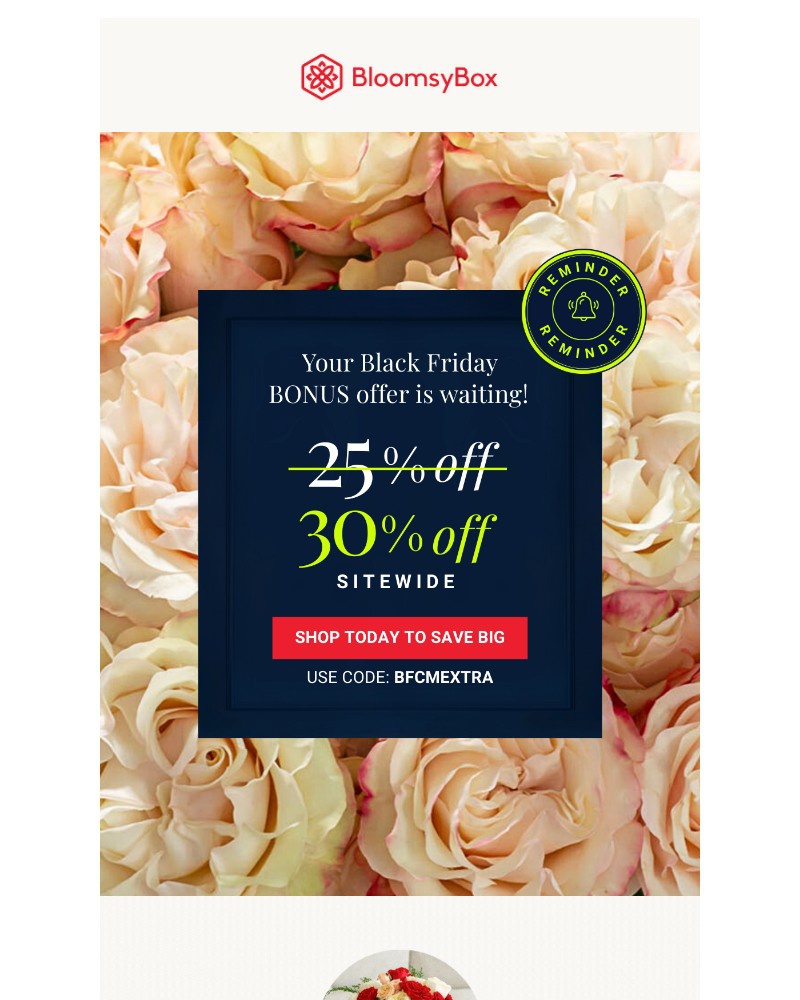 Screenshot of email with subject /media/emails/reminder-your-elevated-black-friday-offer-is-waiting-c55ff4-cropped-087cf14c.jpg