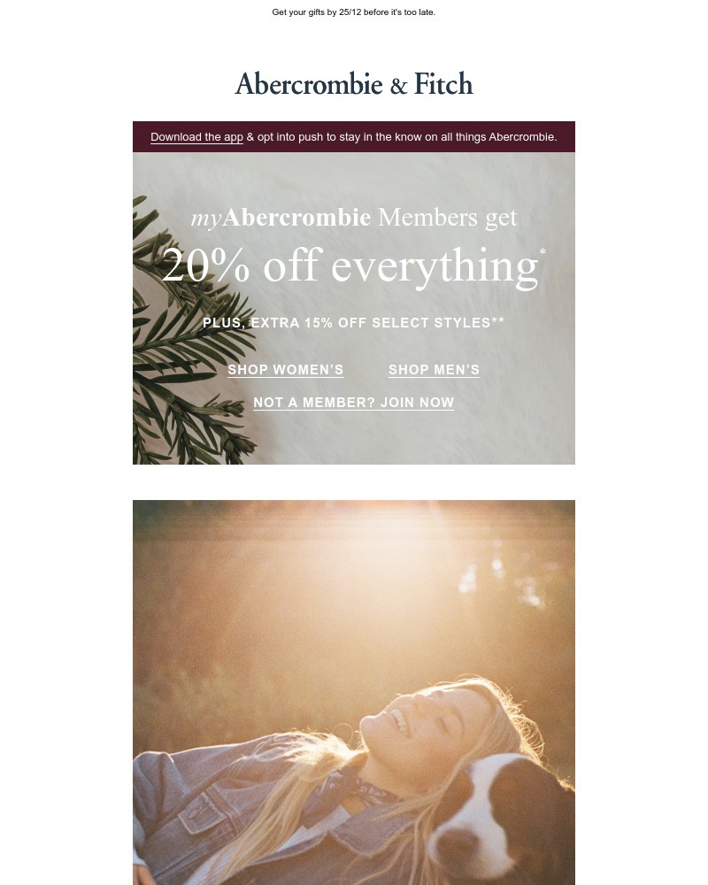 Screenshot of email with subject /media/emails/renee-rapps-here-if-you-havent-heard-314571-cropped-cc414c8e.jpg