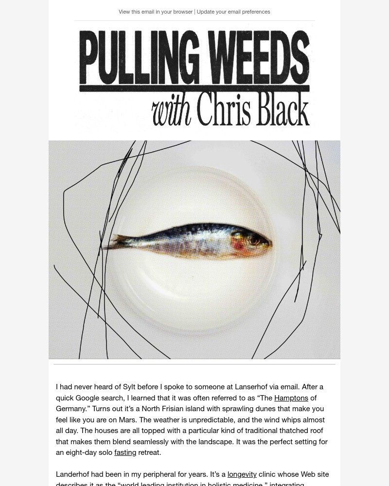 Screenshot of email with subject /media/emails/resetting-everything-at-an-elite-island-longevity-clinic-bba7a5-cropped-b9f0a33e.jpg