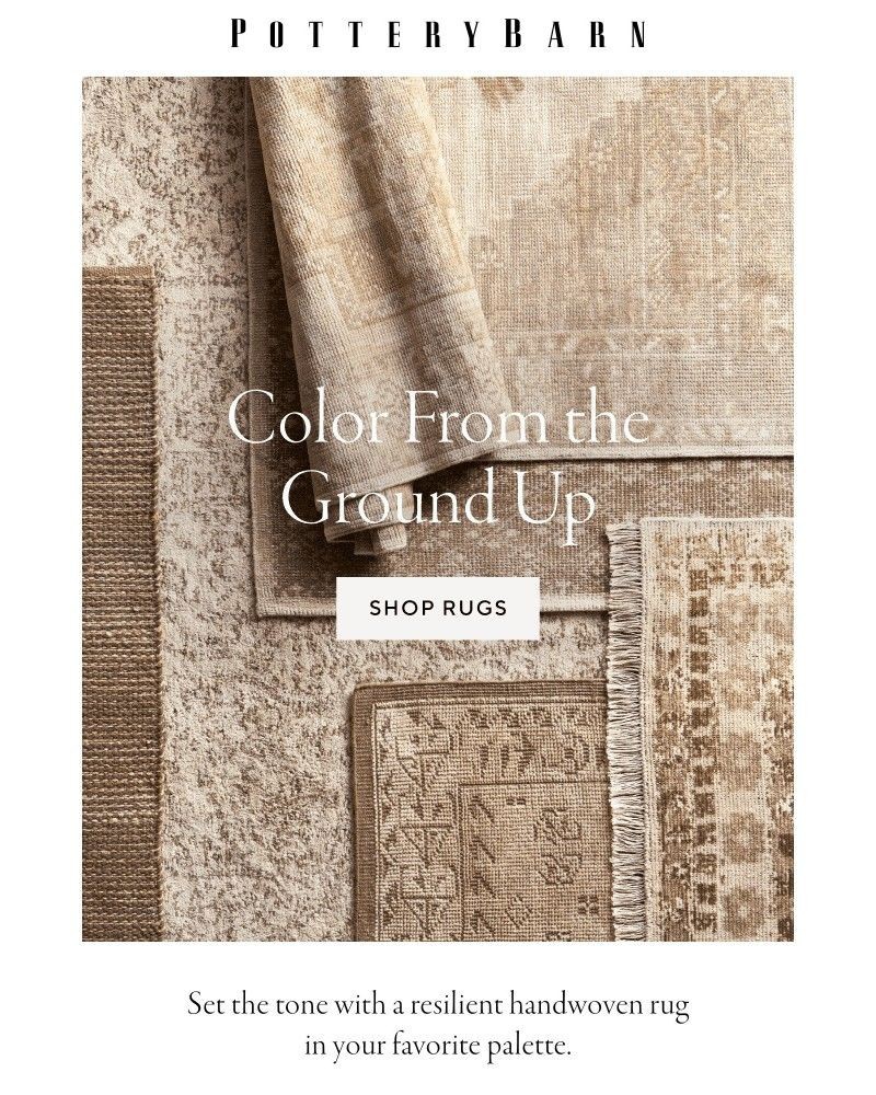 Screenshot of email with subject /media/emails/resilient-rugs-in-every-color-126fc1-cropped-f968c4d3.jpg