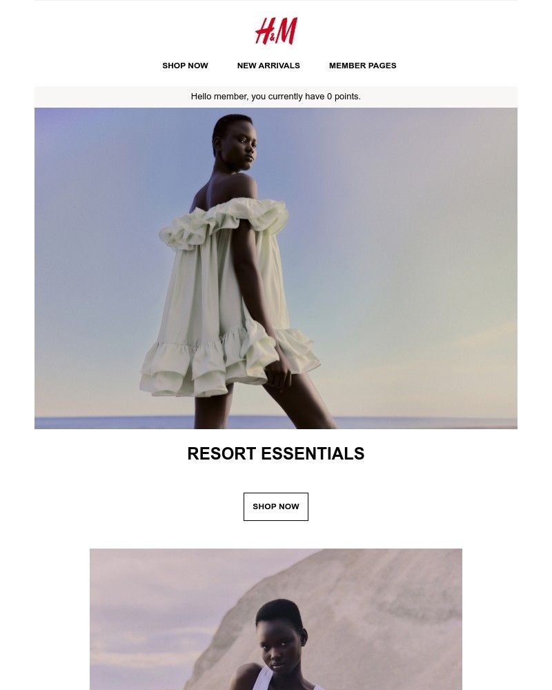 Screenshot of email with subject /media/emails/resort-essentials-545fc4-cropped-e801a35f.jpg
