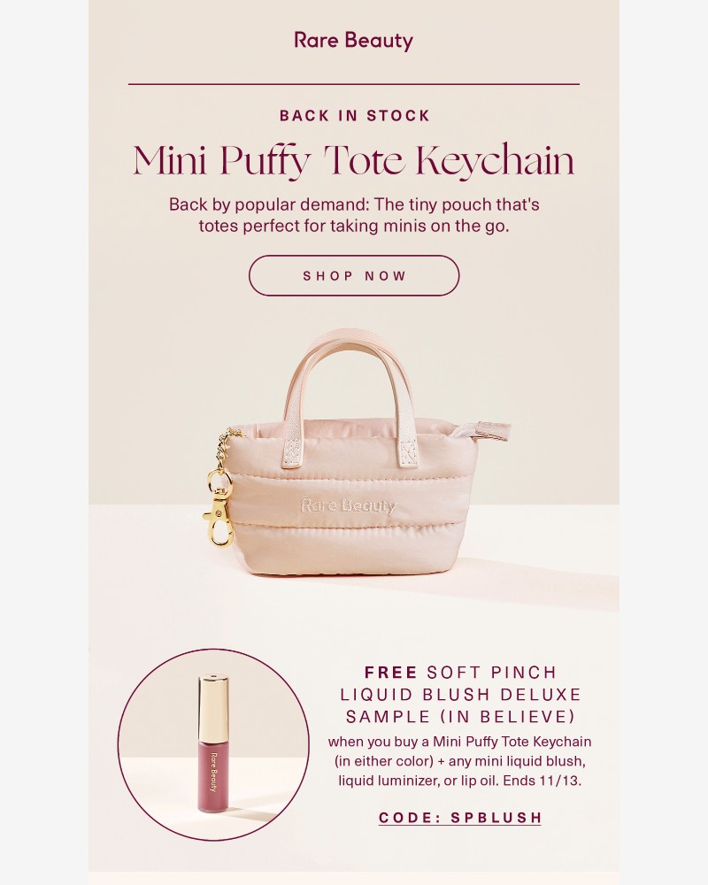 Screenshot of email with subject /media/emails/restock-alert-mini-puffy-tote-keychain-c29aea-cropped-7856df92.jpg