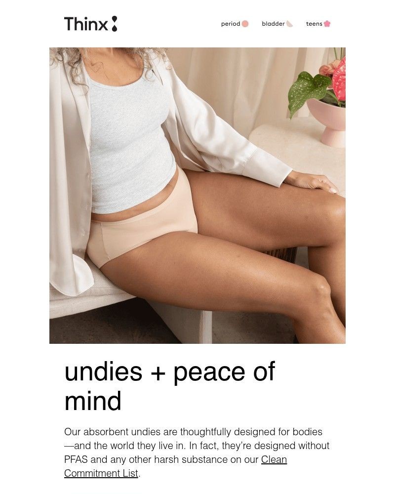 Screenshot of email sent to a Thinx Newsletter subscriber