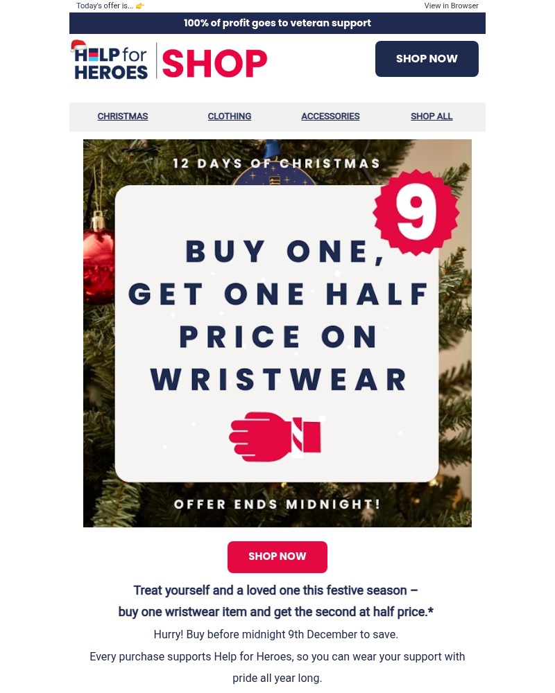 Screenshot of email with subject /media/emails/reveal-day-9-of-your-12-days-of-christmas-offer-now-limited-time-only-e27601-crop_xLjsJuJ.jpg