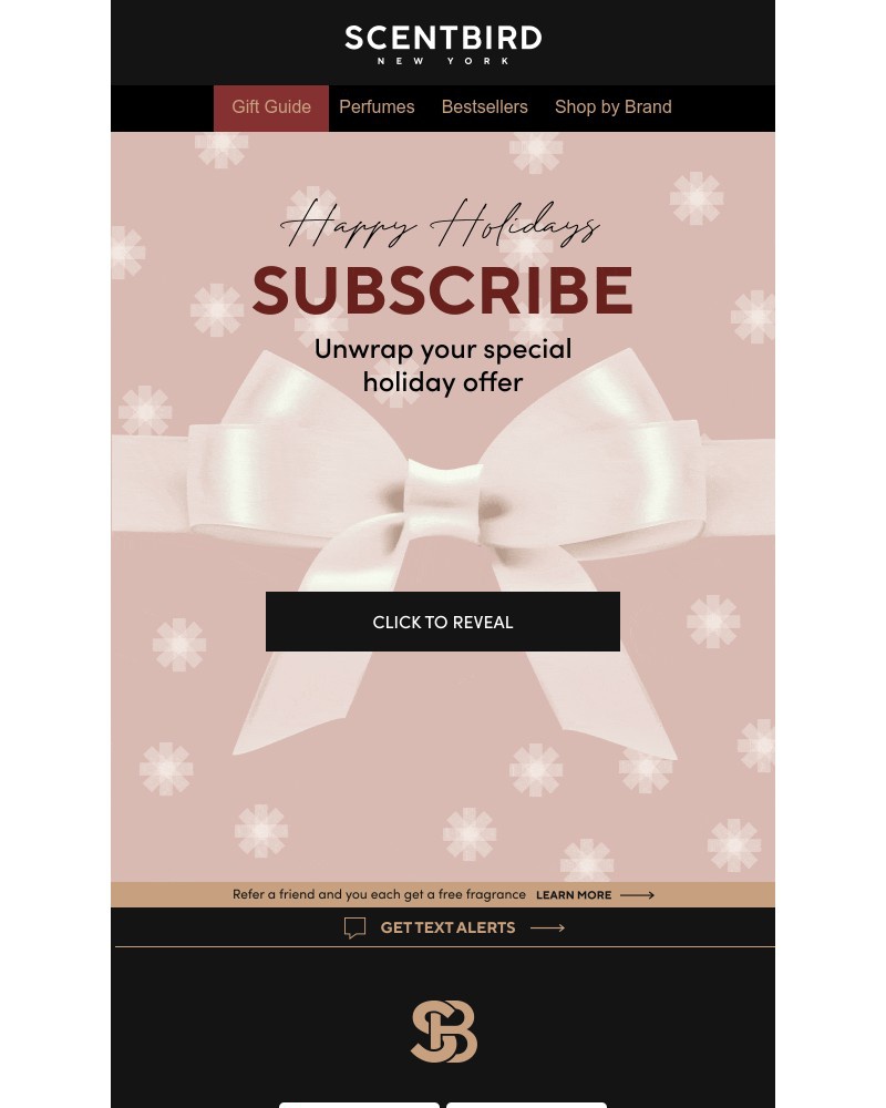 Screenshot of email with subject /media/emails/reveal-your-mystery-holiday-deal-d2151c-cropped-481ead00.jpg