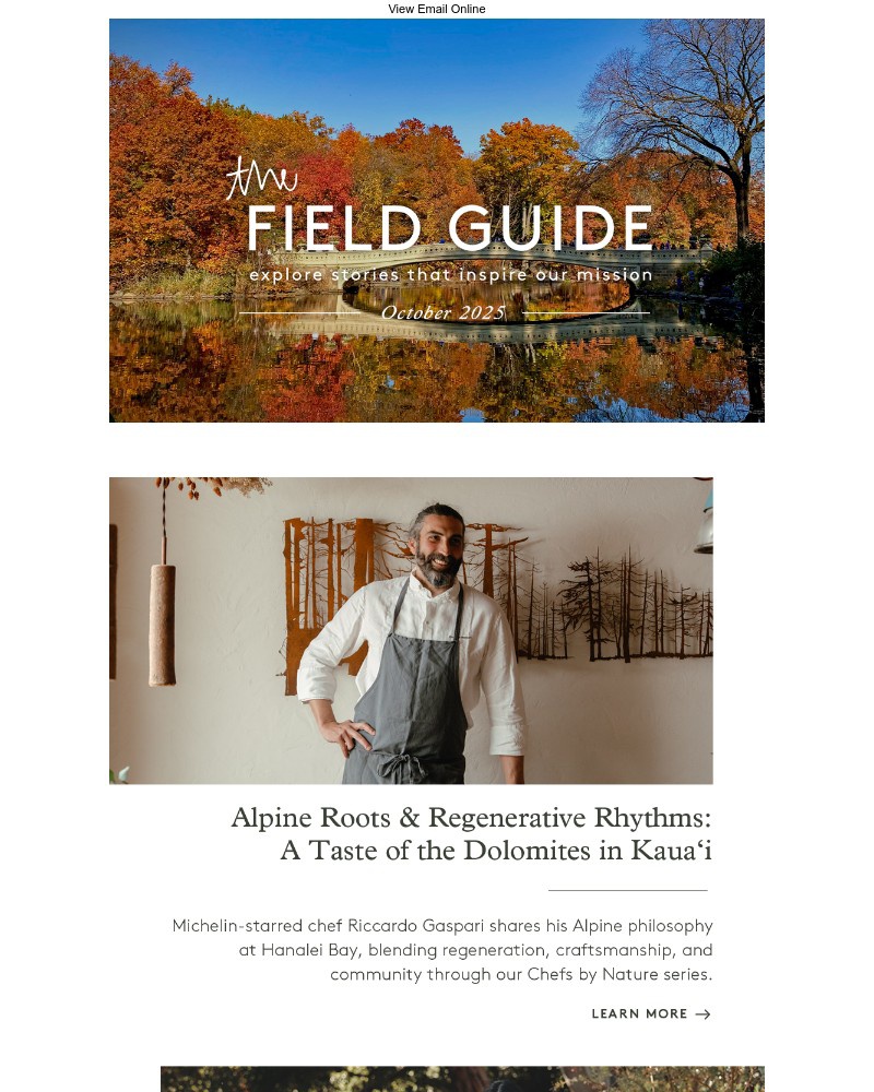 Screenshot of email sent to a 1 Hotels Newsletter subscriber