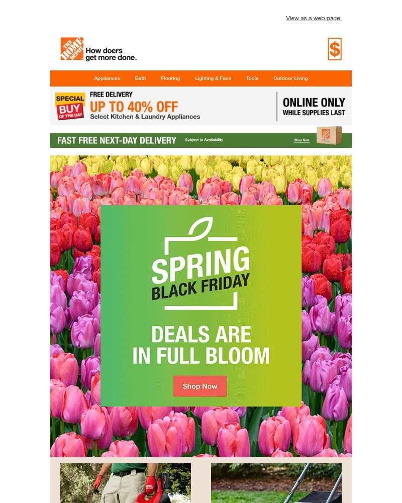 Screenshot of email with subject /media/emails/right-now-spring-black-friday-savings-fb7684-cropped-20d451eb.jpg