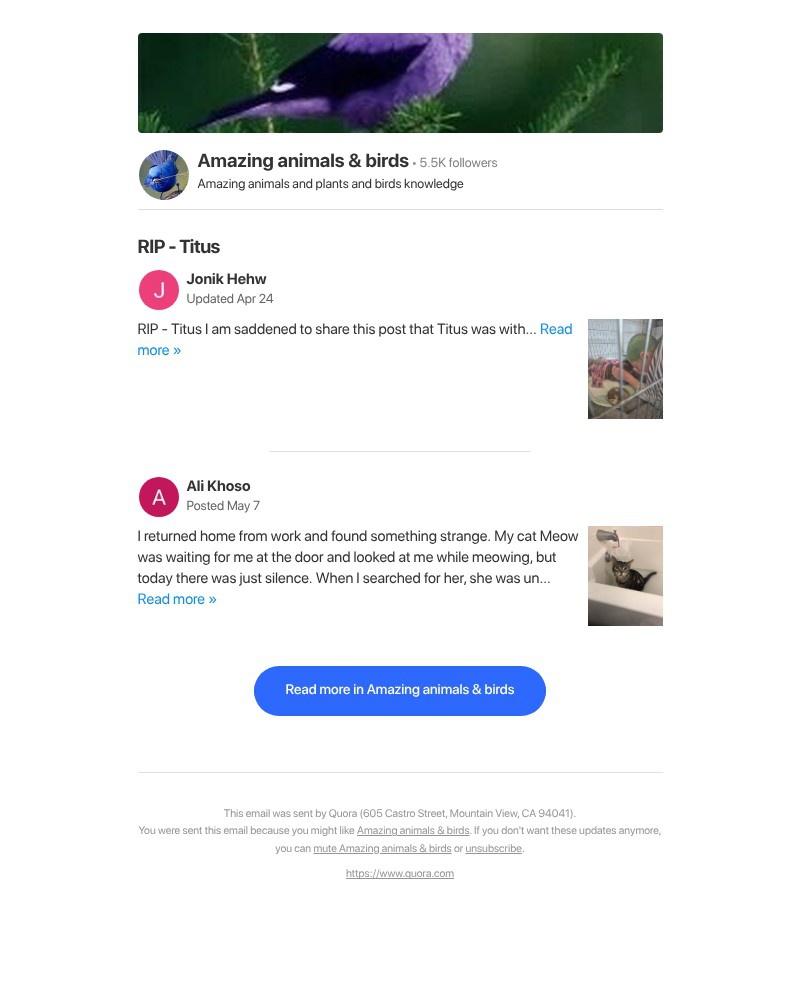 Screenshot of email with subject /media/emails/rip-titus-aa3f4f-cropped-2ac0517c.jpg