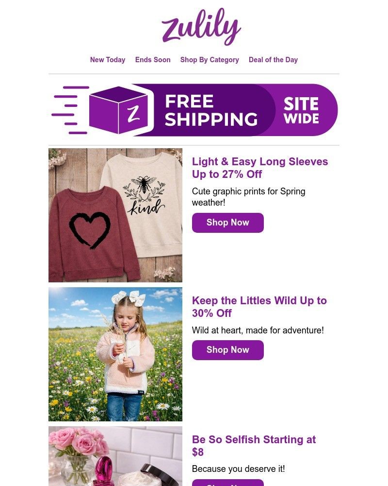 Screenshot of email with subject /media/emails/rise-shop-2843e0-cropped-a64bf936.jpg