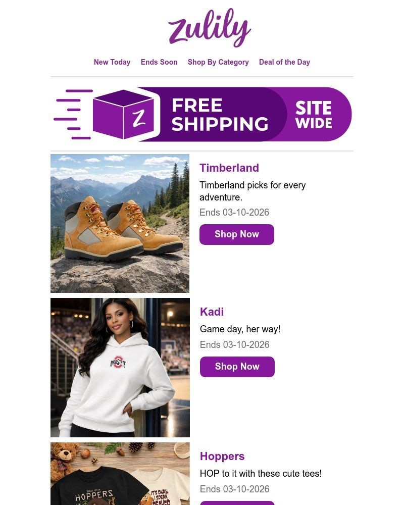 Screenshot of email with subject /media/emails/rise-shop-5b869b-cropped-adda72e5.jpg