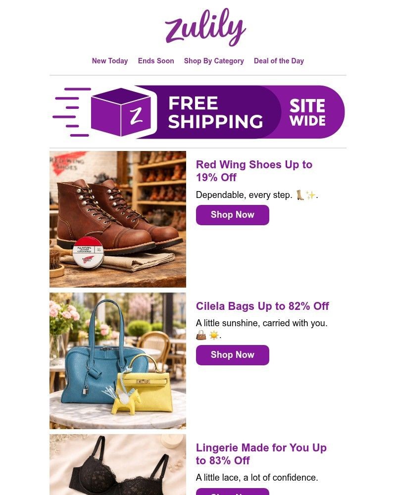 Screenshot of email with subject /media/emails/rise-shop-670621-cropped-b9be38e2.jpg