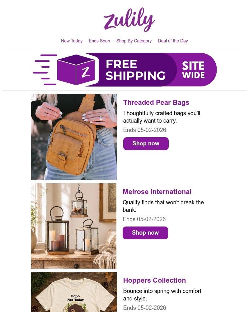 Screenshot of email with subject /media/emails/rise-shop-8fe3ed-cropped-2bafdd4d.jpg