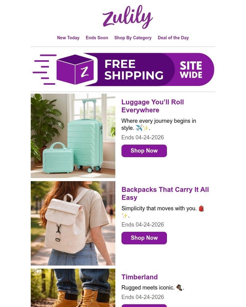 Screenshot of email sent to a Zulily Registered user