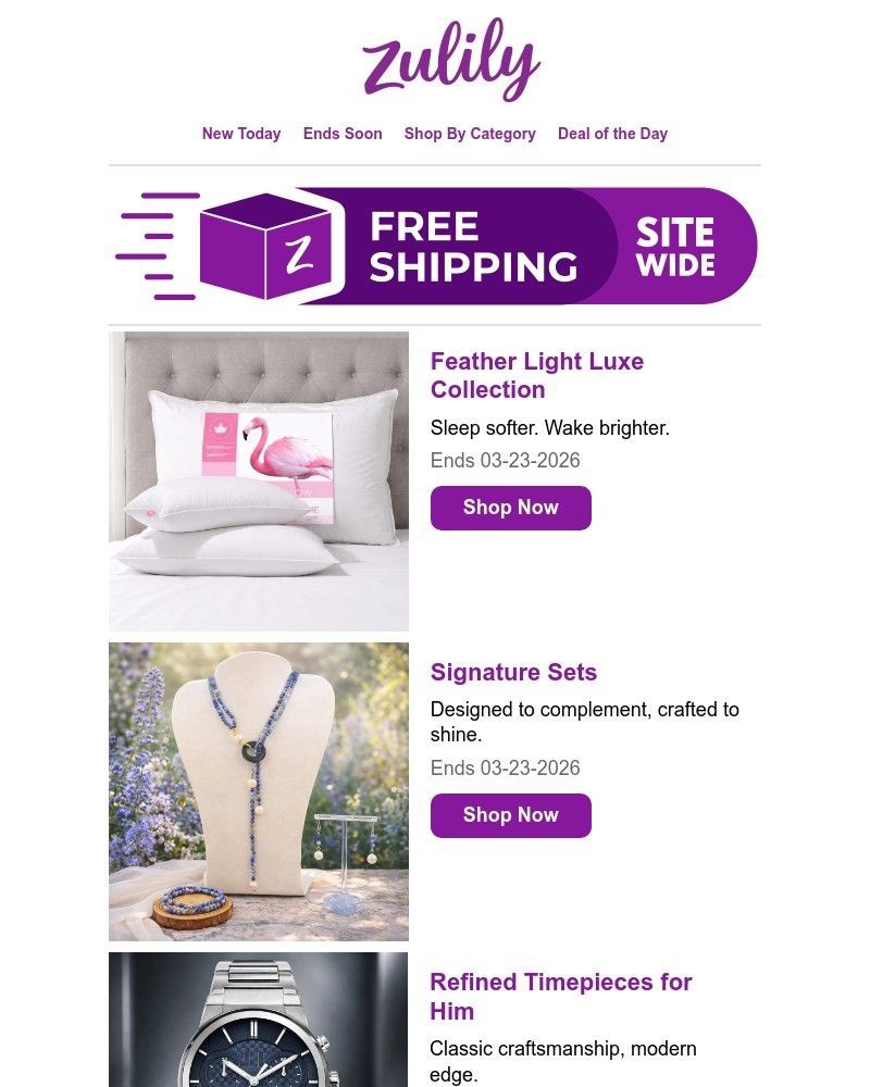 Screenshot of email with subject /media/emails/rise-shop-9586e8-cropped-64172e89.jpg