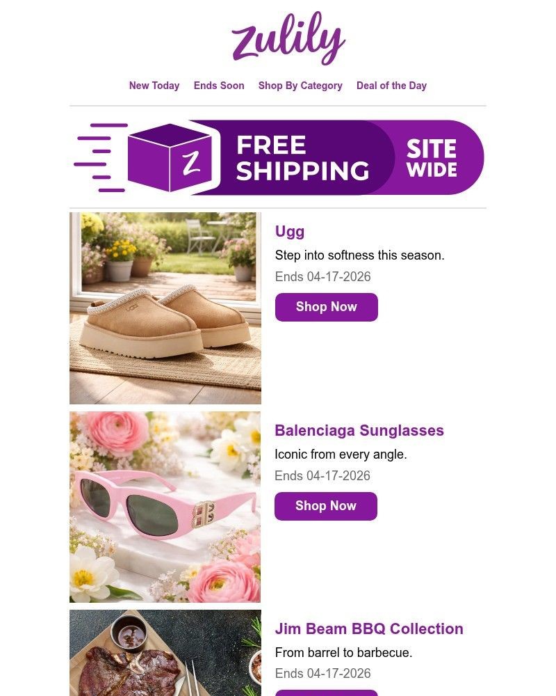 Screenshot of email with subject /media/emails/rise-shop-9d1f47-cropped-ae3a1b68.jpg