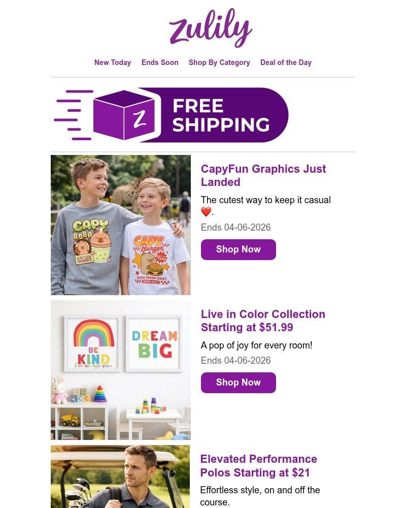 Screenshot of email with subject /media/emails/rise-shop-a0ca7d-cropped-1a5dbb2b.jpg