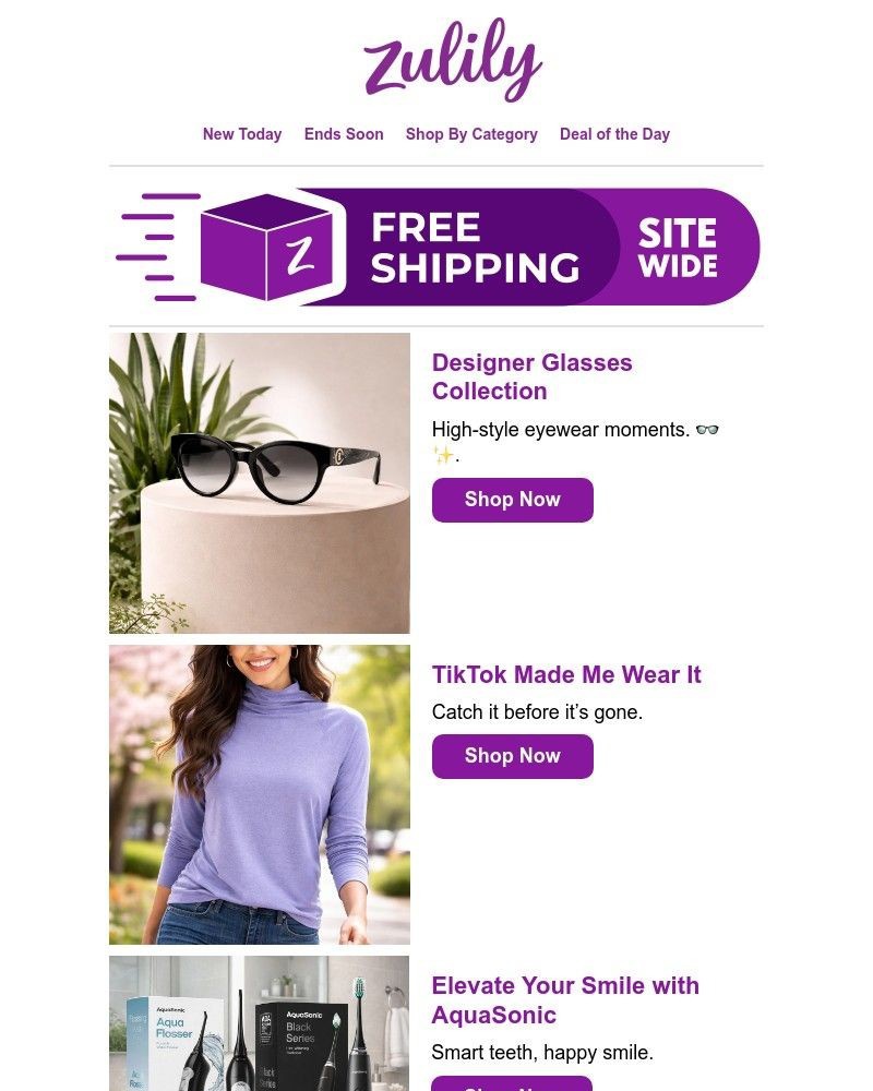 Screenshot of email with subject /media/emails/rise-shop-affb1b-cropped-934038d5.jpg