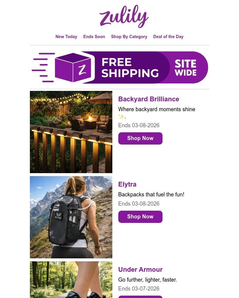 Screenshot of email with subject /media/emails/rise-shop-b56f28-cropped-8392ea09.jpg