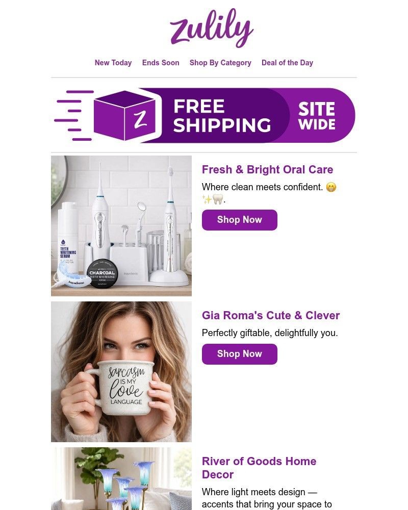 Screenshot of email with subject /media/emails/rise-shop-b94fae-cropped-e100262f.jpg