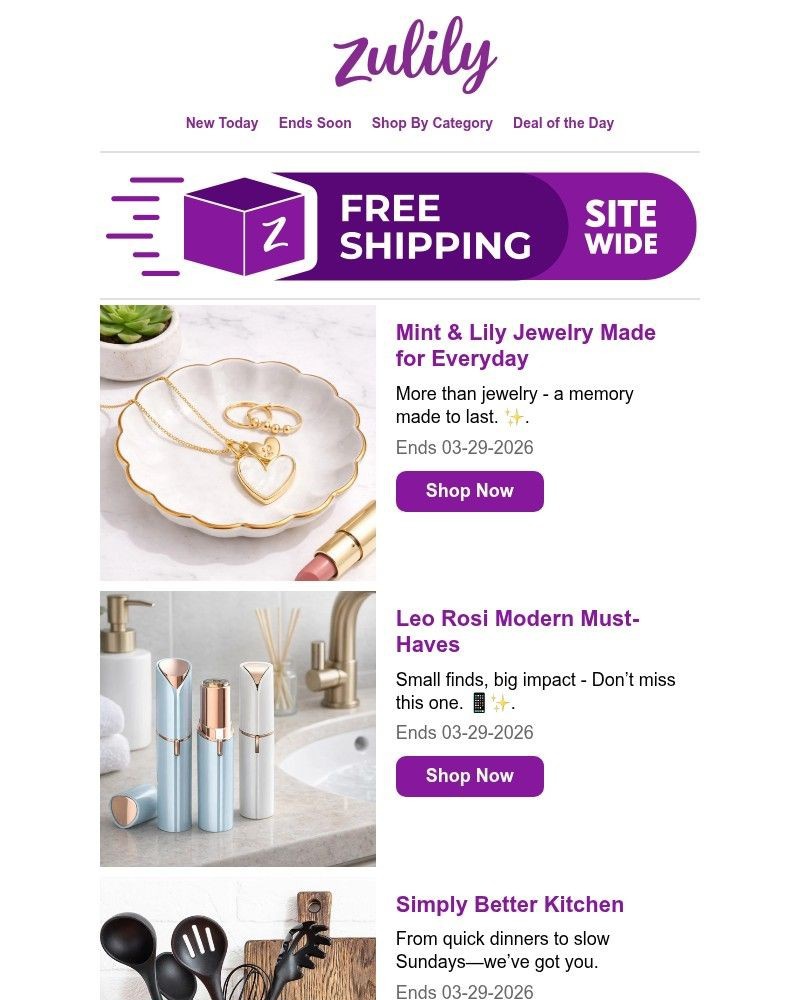 Screenshot of email with subject /media/emails/rise-shop-c49ab8-cropped-93d785dc.jpg