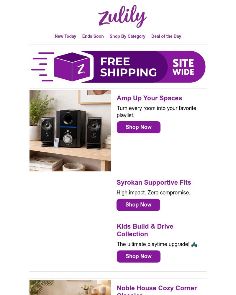 Screenshot of email with subject /media/emails/rise-shop-ec6942-cropped-89192ac7.jpg