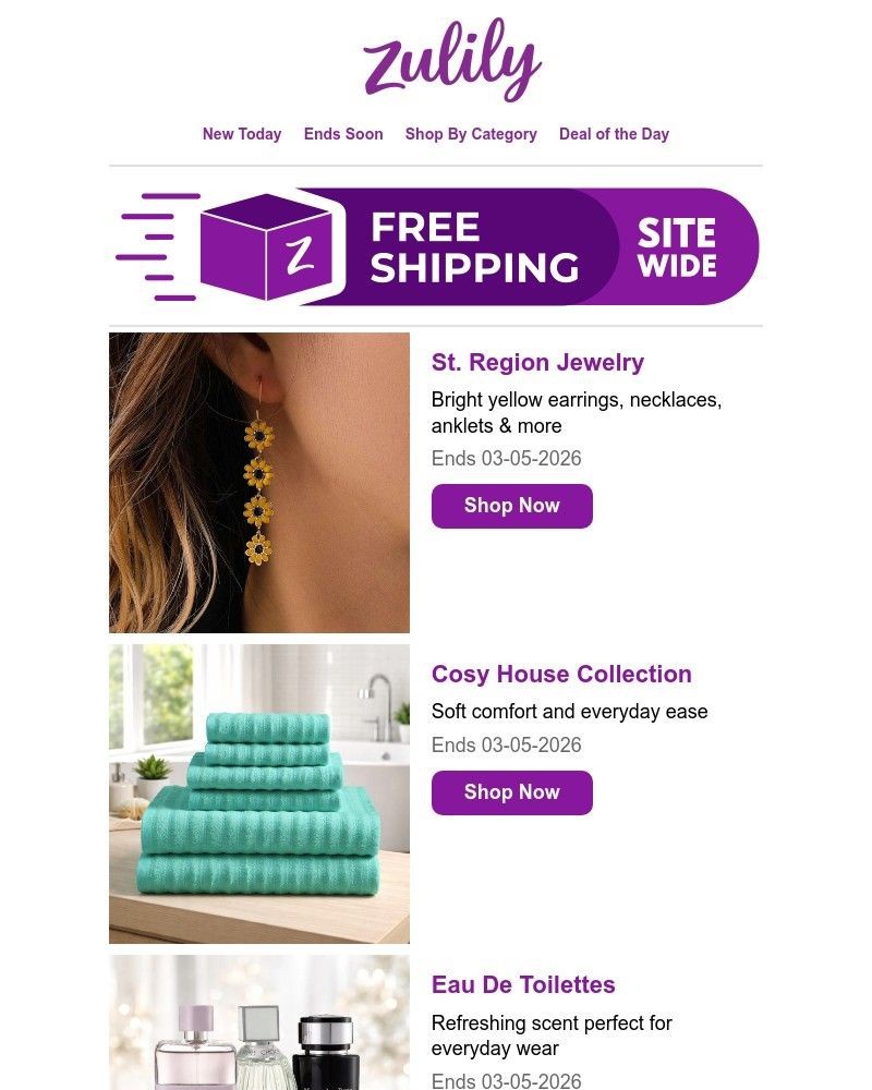 Screenshot of email with subject /media/emails/rise-shop-ede3a5-cropped-d1f4b432.jpg